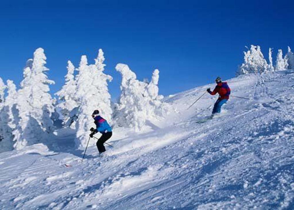 Chateau Resort & Conference Center Tannersville Servizi foto