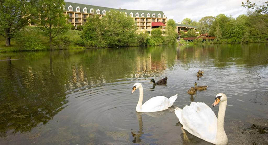Chateau Resort & Conference Center Tannersville Esterno foto